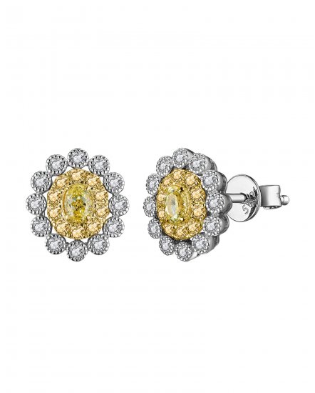 MULTI TONE OVAL DIAMOND STUDS (TE1214)